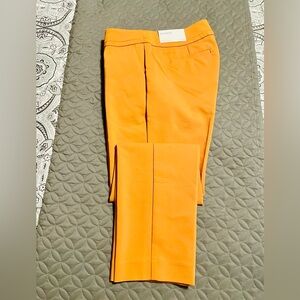 Ann Taylor, The Straight pants